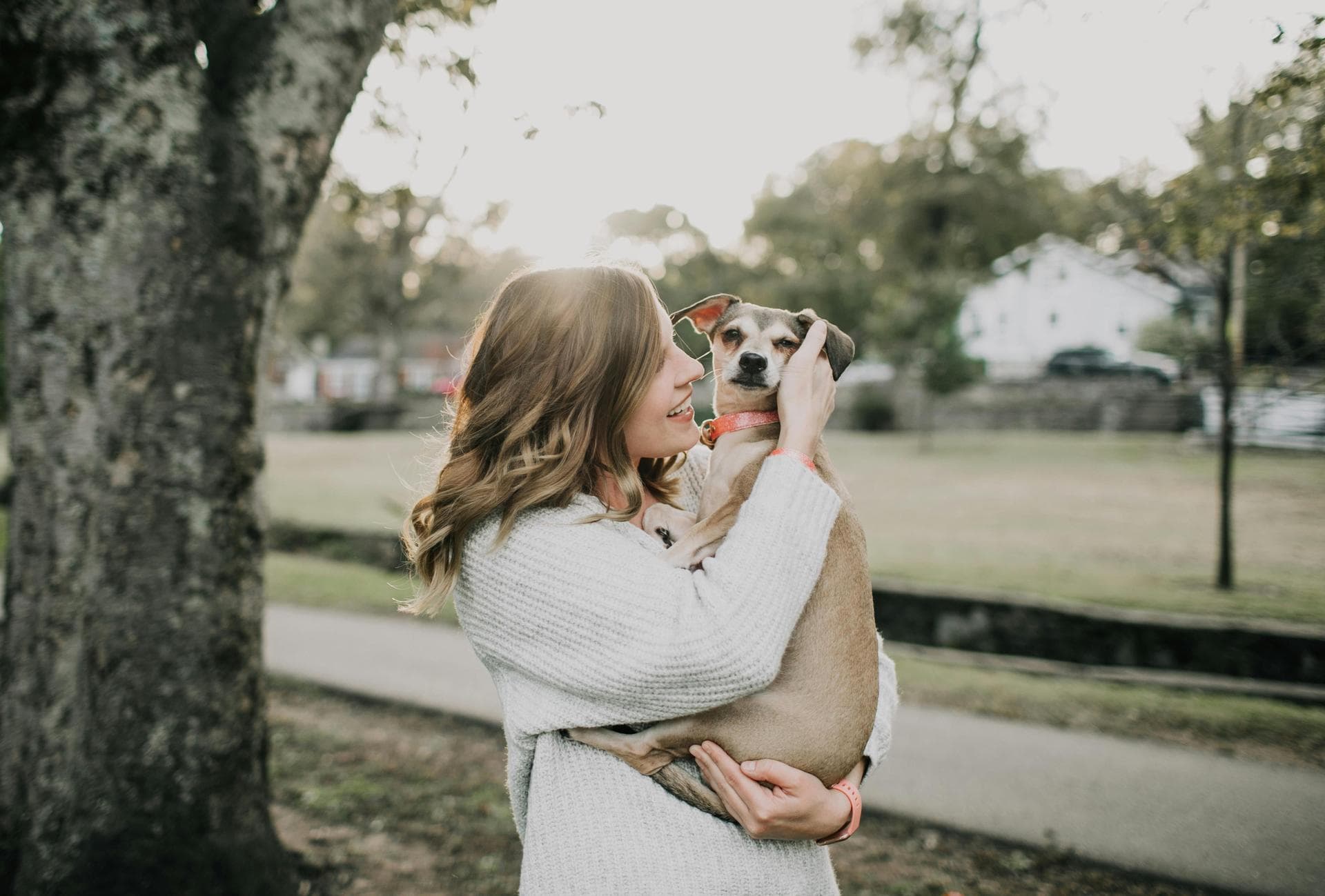 Dog Euthanasia Put Down Prices in Derby